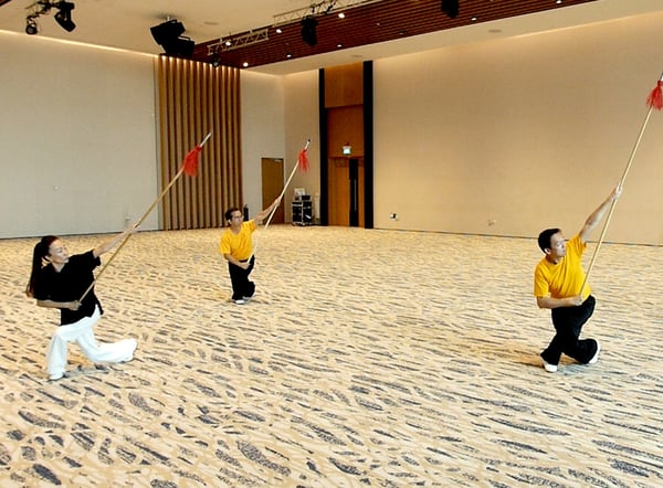 Taiji Quan Master Series
