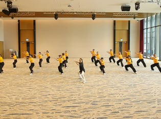 Taiji Quan Master Series