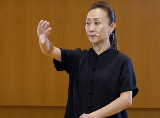 Taiji Quan Master Series