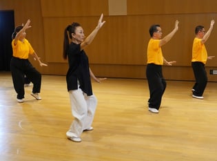 Taiji Quan Master Series