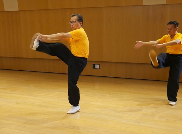 Taiji Quan Master Series (Chinese)