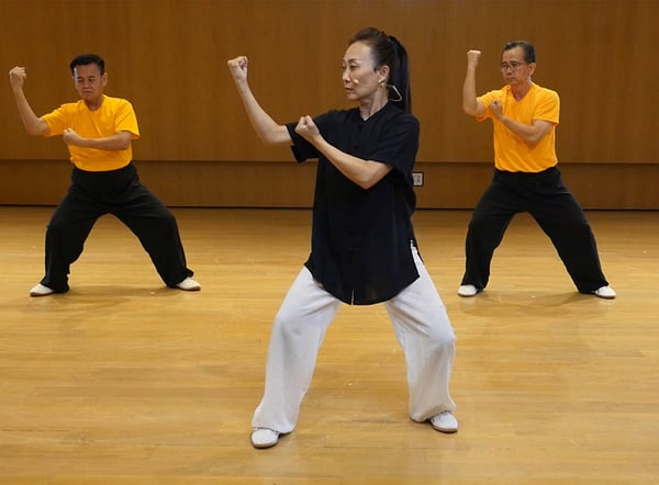 Taiji Quan Master Series (Chinese)
