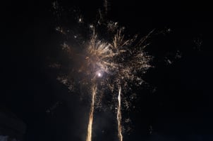DSC02786