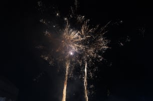 DSC02786