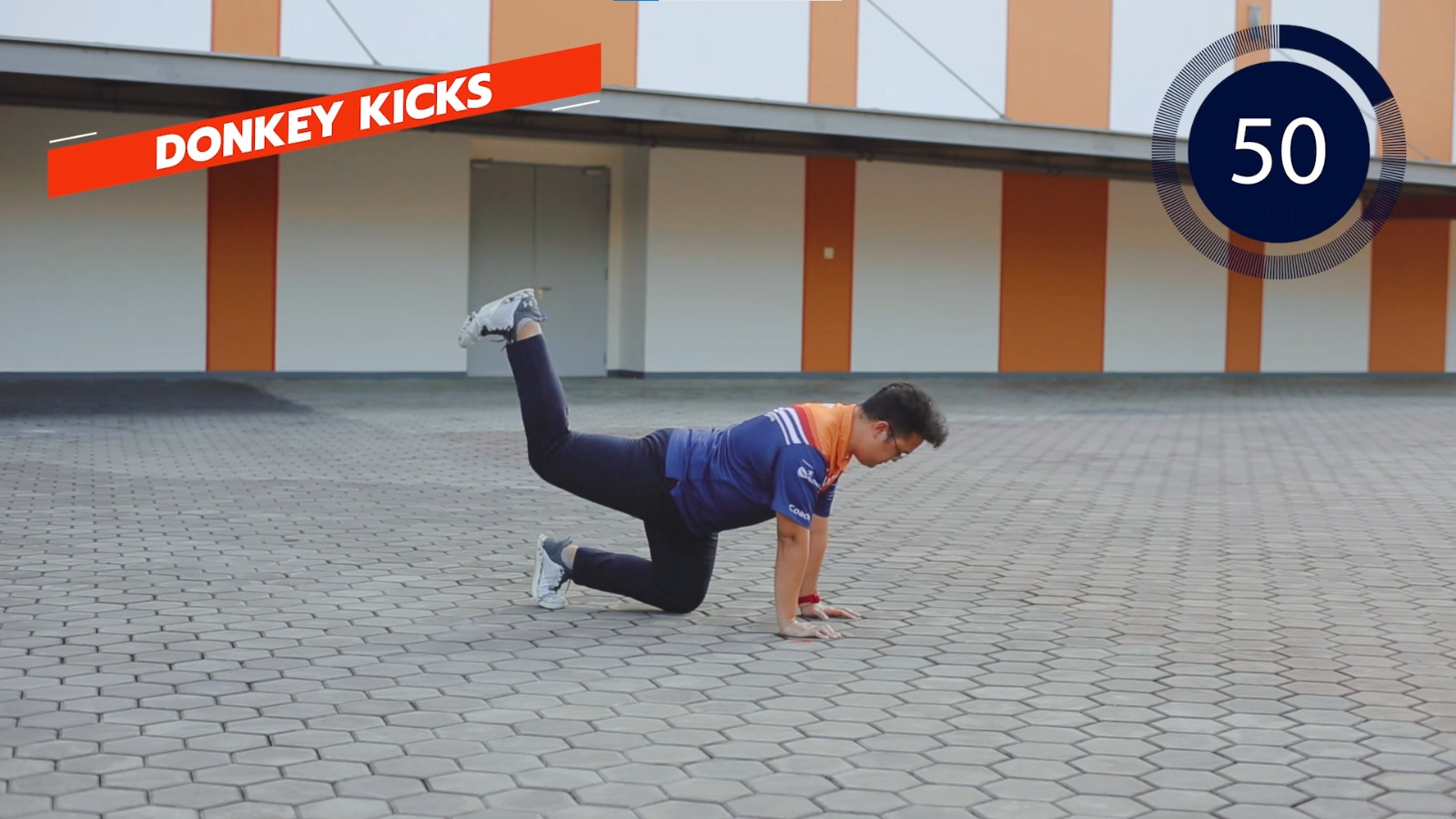 Donkey Kicks