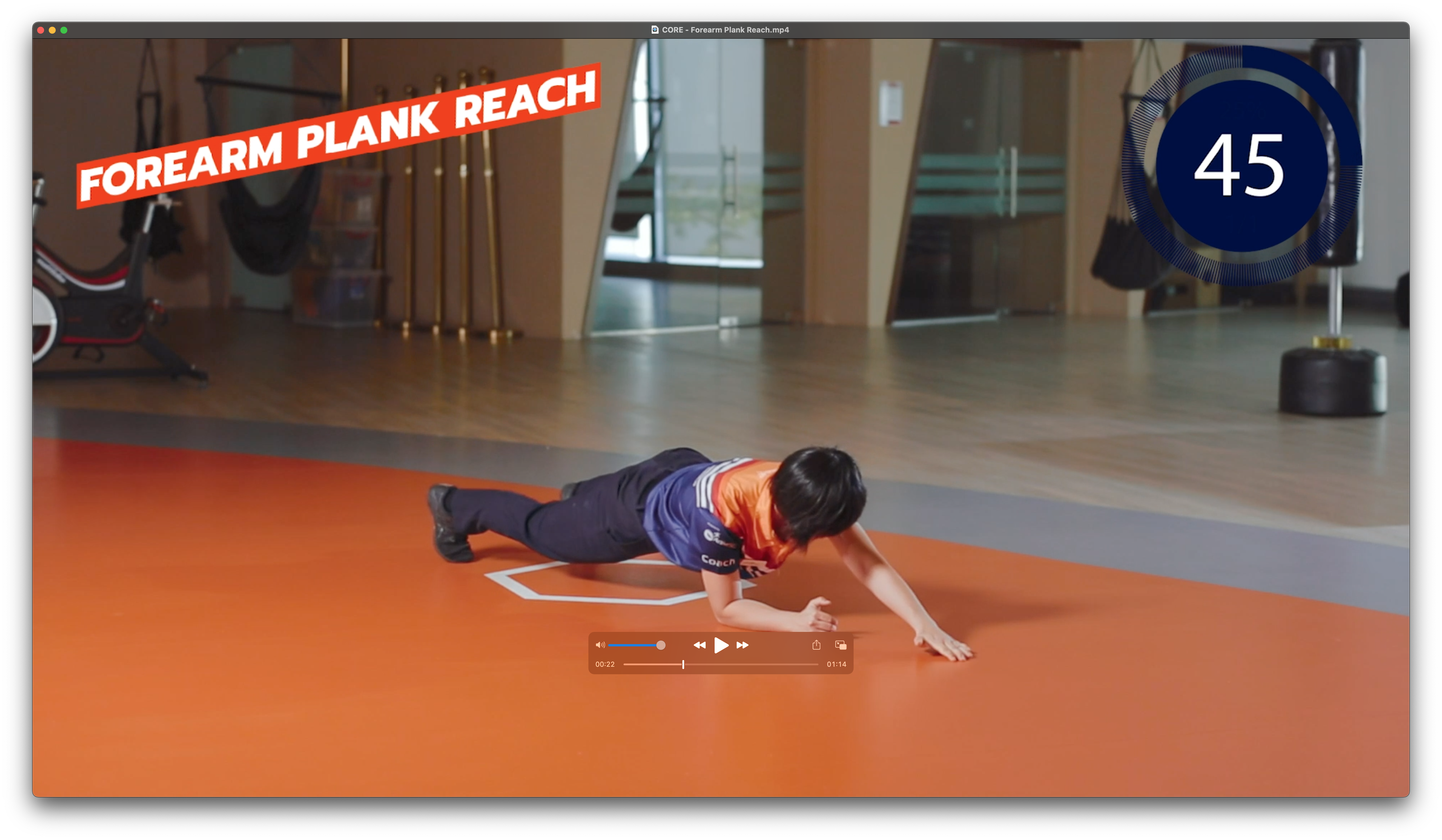 Forearm Plank Reach