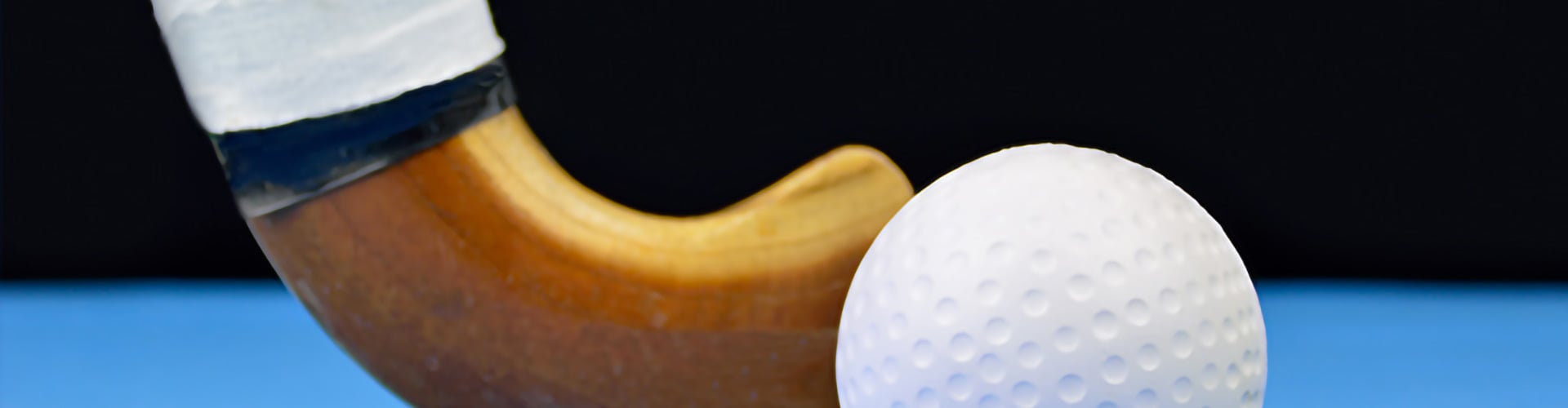 sports-hockey-banner