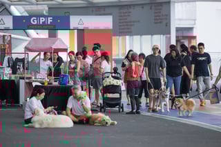 GASG NDP Live Screening (100)