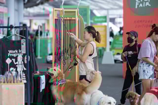 GASG NDP Live Screening (101)