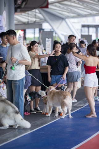 GASG NDP Live Screening (141)