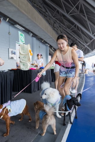 GASG NDP Live Screening (143)