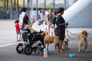 GASG NDP Live Screening (86)