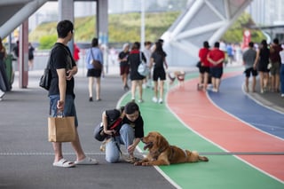 GASG NDP Live Screening (88)