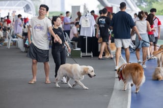 GASG NDP Live Screening (91)