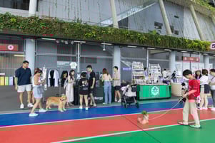 GASG NDP Live Screening (93)