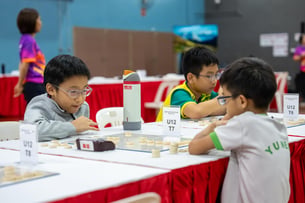 2026-07-18_Xiangqi_By Xia Liwei-11