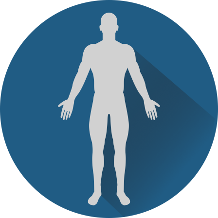 body-composition