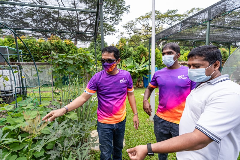 2020-10-04-Urban Farming @ Toa Payoh-Randi Ang-24