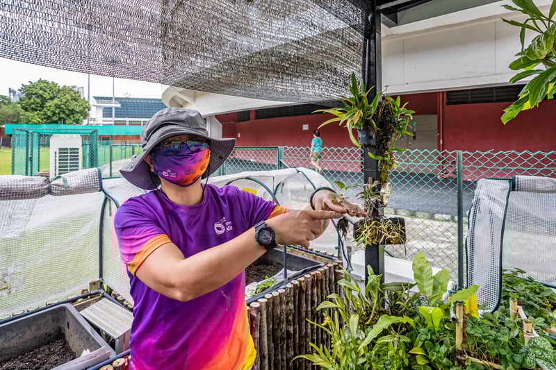2020-10-04-Urban Farming @ Toa Payoh-Randi Ang-8
