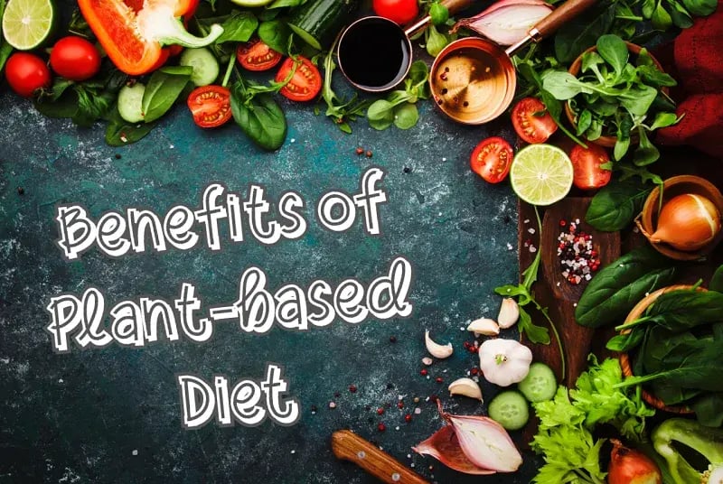 plant based diet 2_jpg