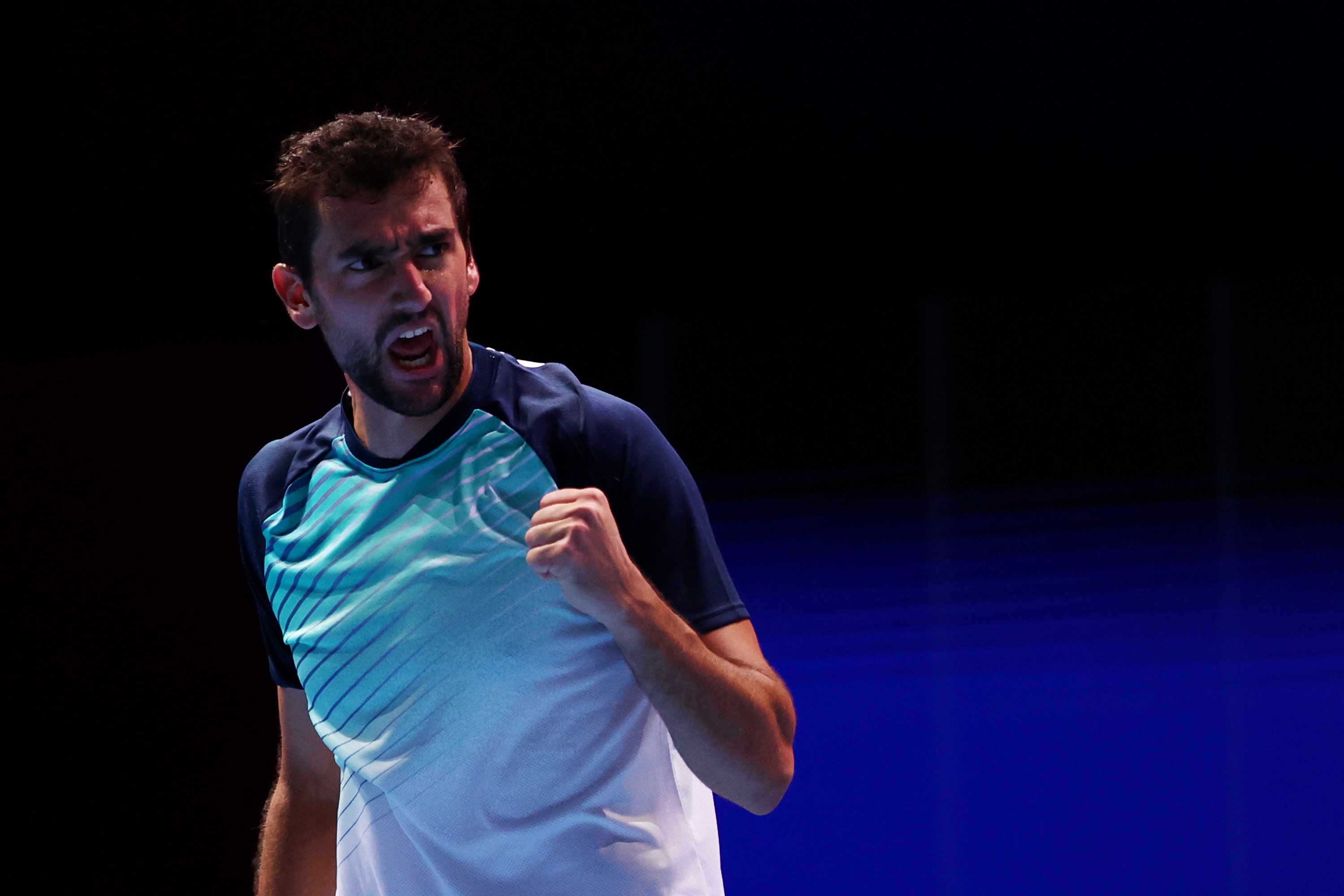 (Marin Cilic)