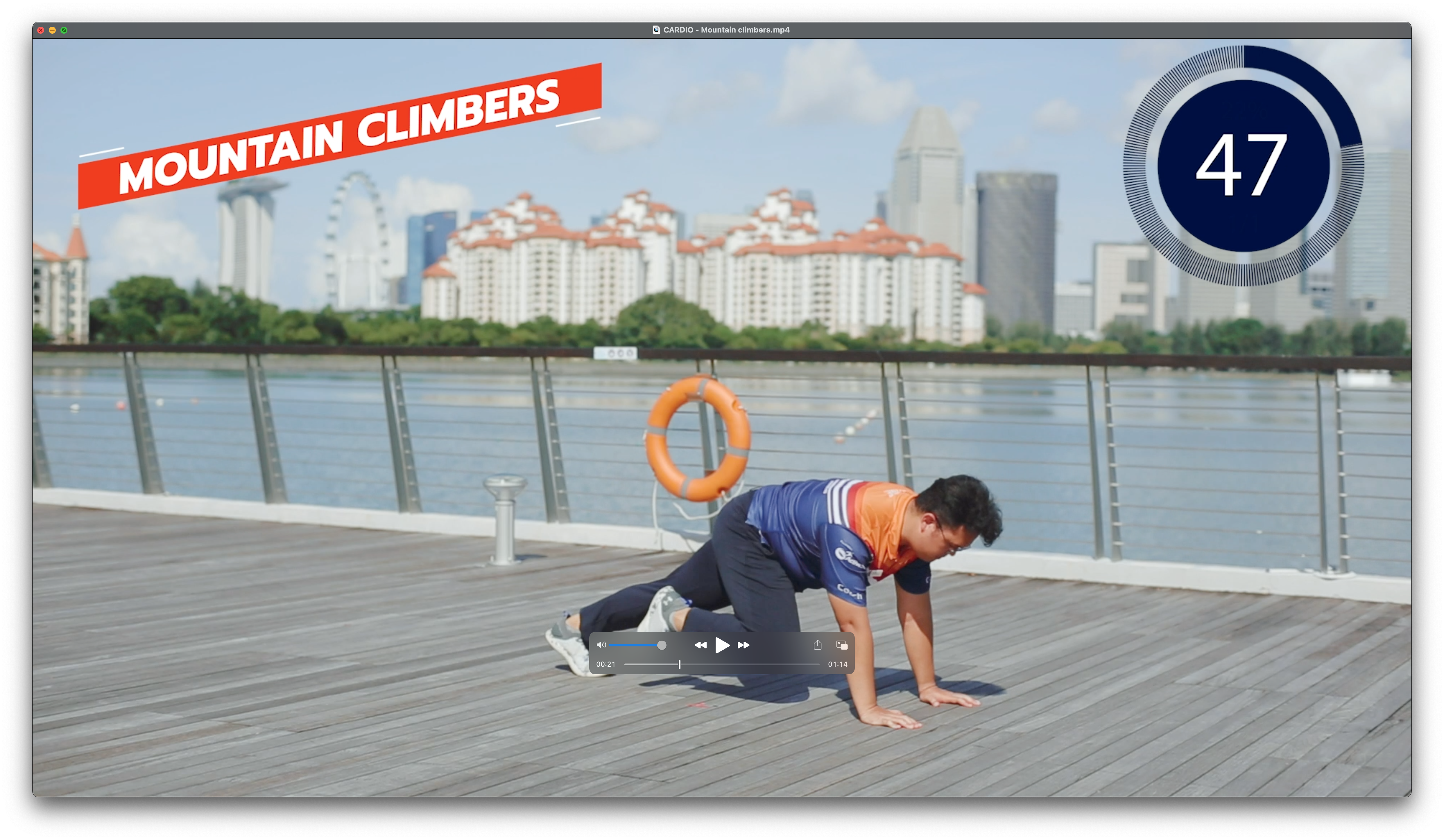 Mountain Climbers