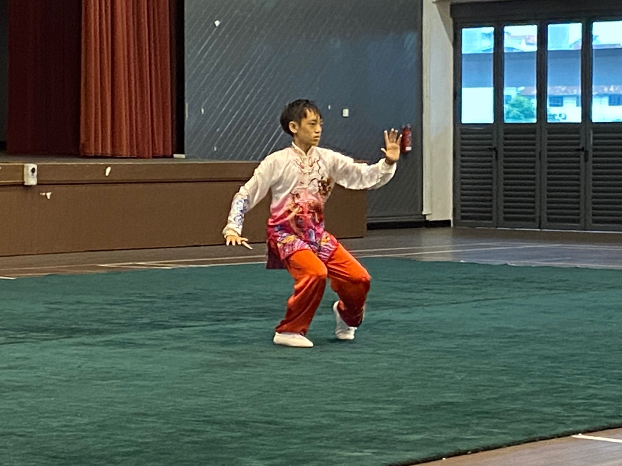 NSG A Div wushu - taijiquan