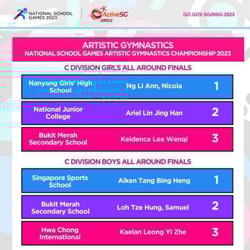 Artistic Gymnastics C Div Finals