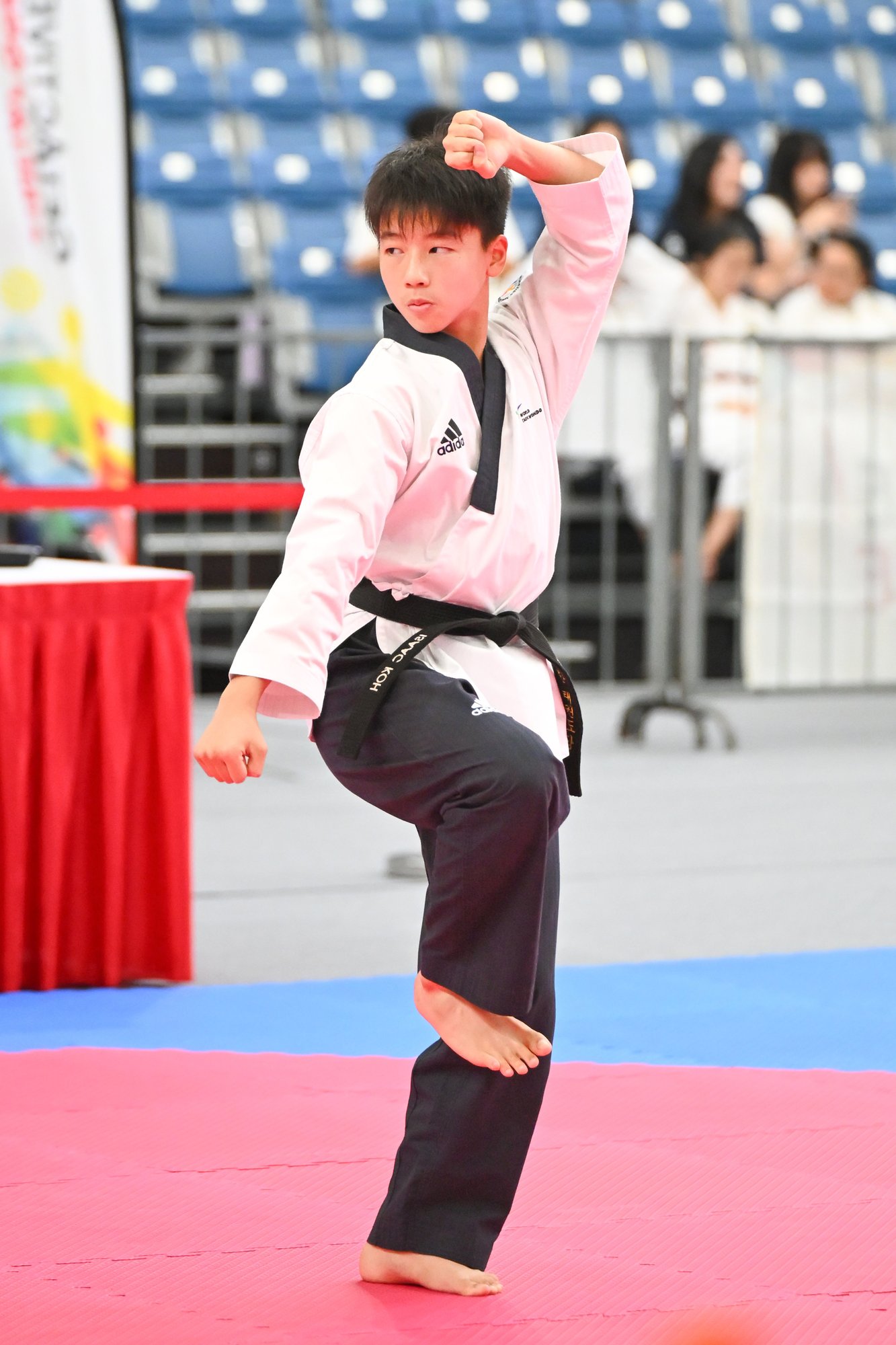 2025-07-30_TaeKwonDoPS25_Photo by Desmond Chin_DSC37