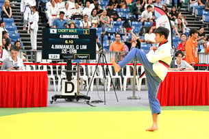 2025-07-30_TaeKwonDoPS25_Photo by Desmond Chin_DSC8