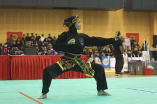 2025-07-12_Pesta Sukan Silat_By Izzad_081