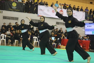 2025-07-13_Pesta Sukan Silat_By Izzad_012
