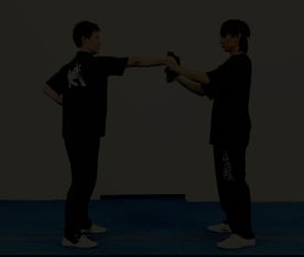 Wushu Tutorial for Beginners