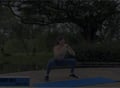 Wushu Inspired High