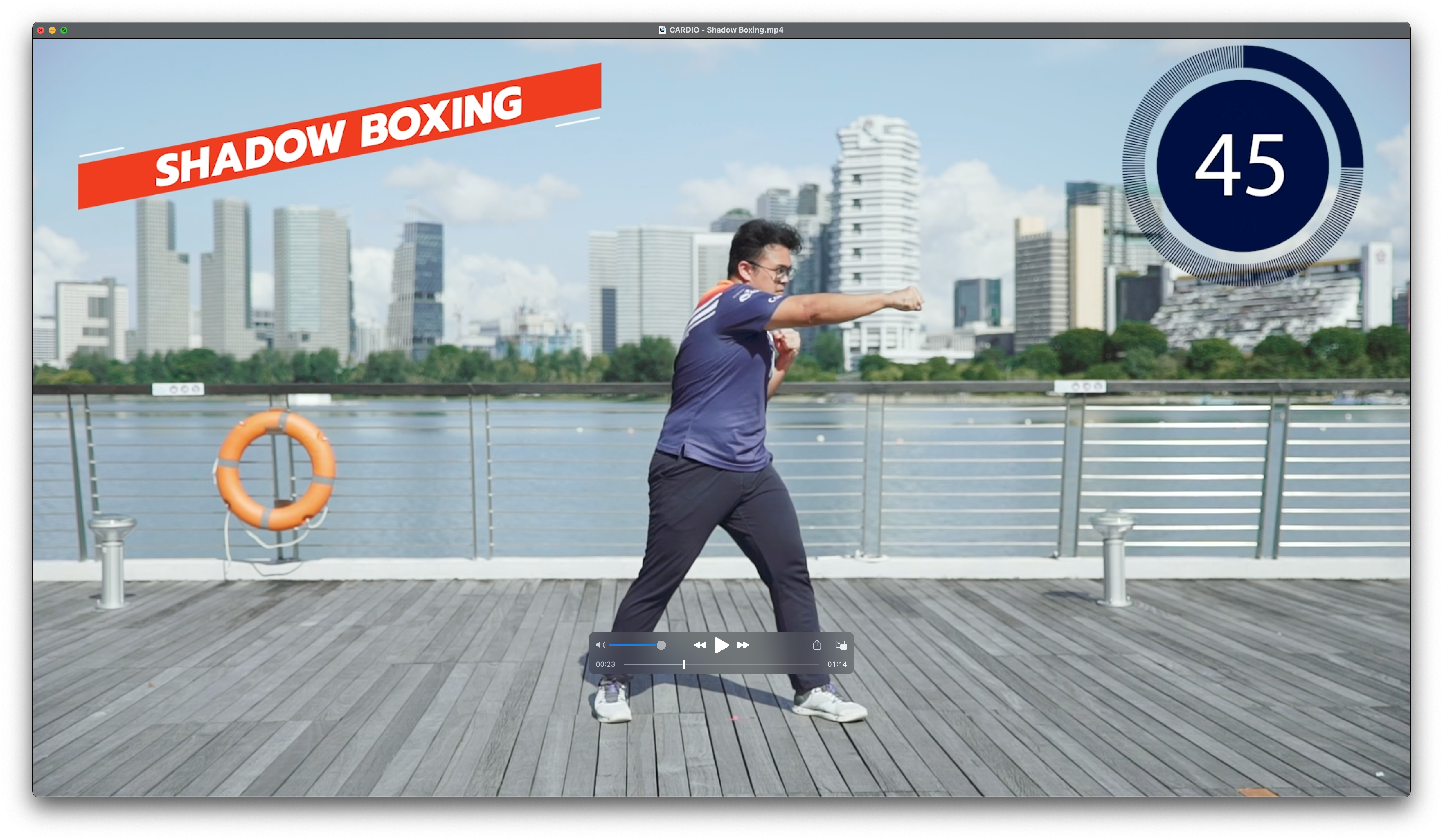 Shadow Boxing