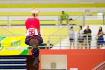 Shaun_Ho_NSG2024_ArtisticGym_PriSec_24Apr24_0458