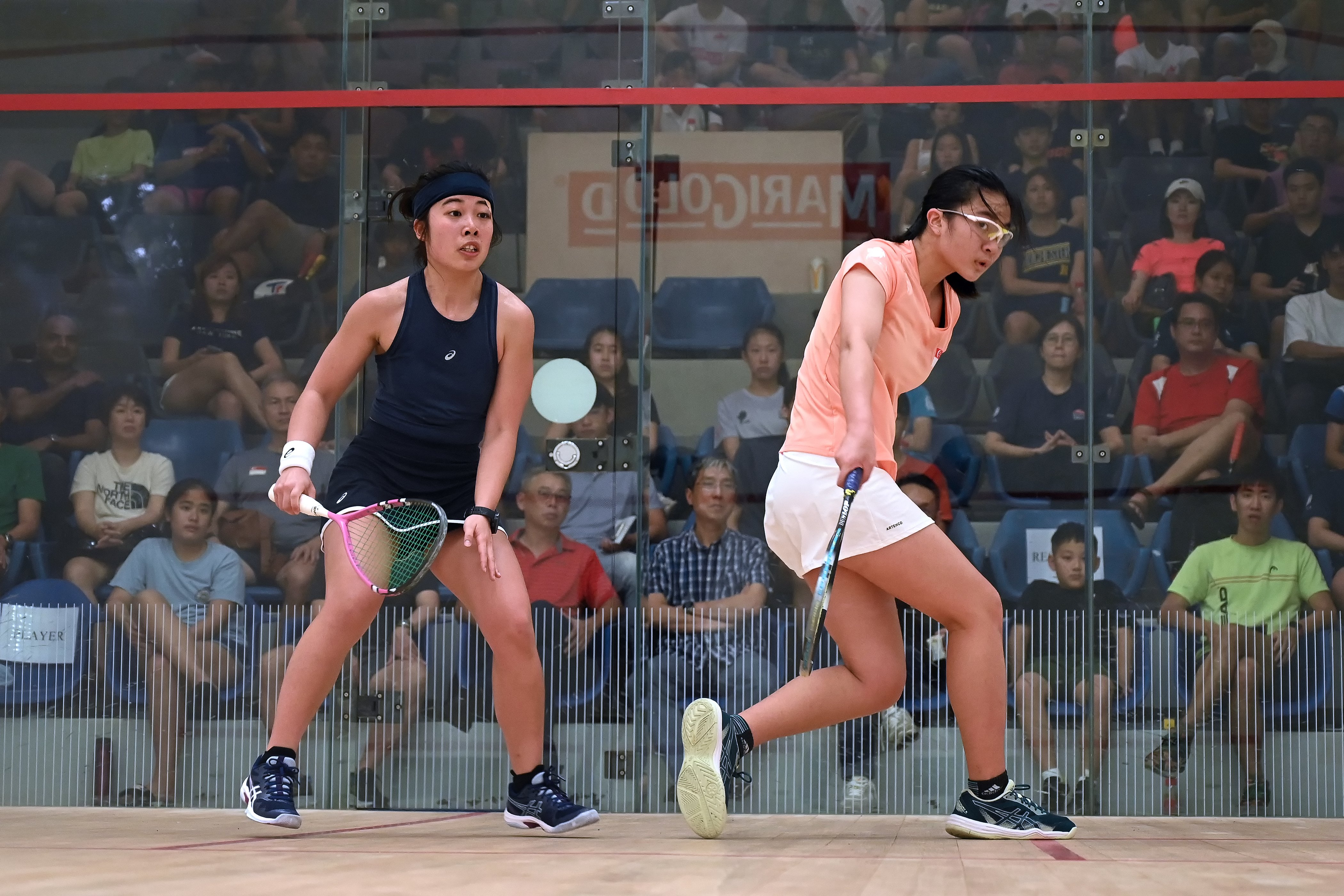 SquashFinal2023-284