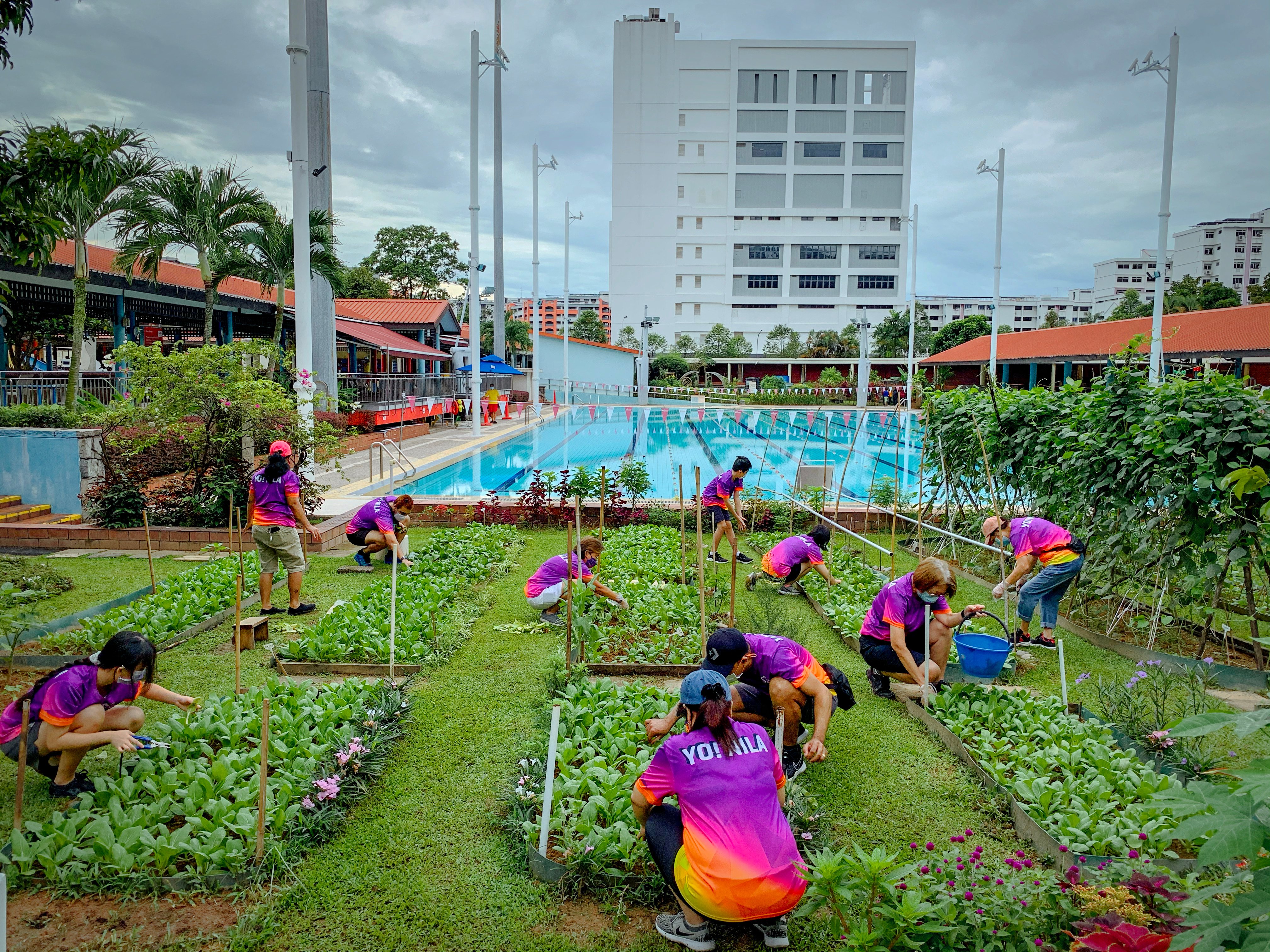 Woodlands Active Garden