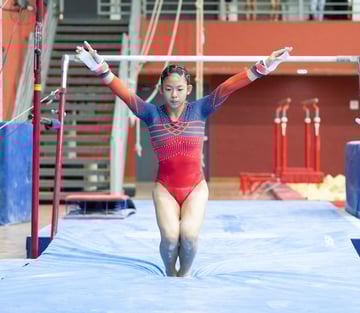 Shaun_Ho_1831_NSG2025_ArtisticGym