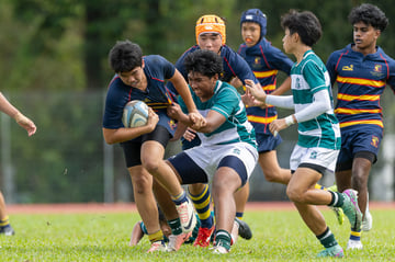 Rugby Photo Gallery Thumbnail Image