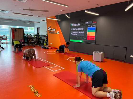 Mobility & Flexibility