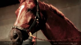 Singapore Youth Olympic Games 2010 - Equestrian Sports Interview