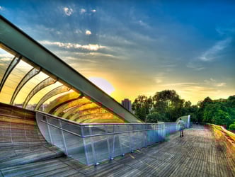 7 Family-friendly Hiking Trails in Singapore