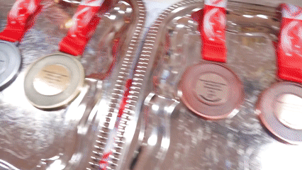 NSG Fencing Sabre Foil -