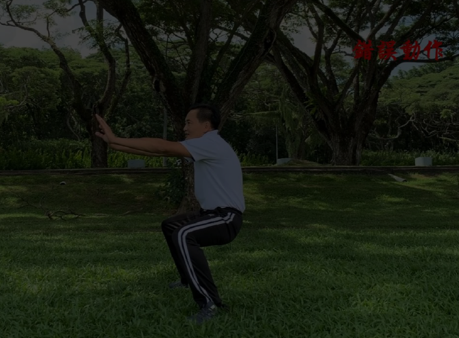 Simplified Wushu Stances