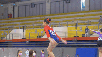 Gymnastics (Artistic) -